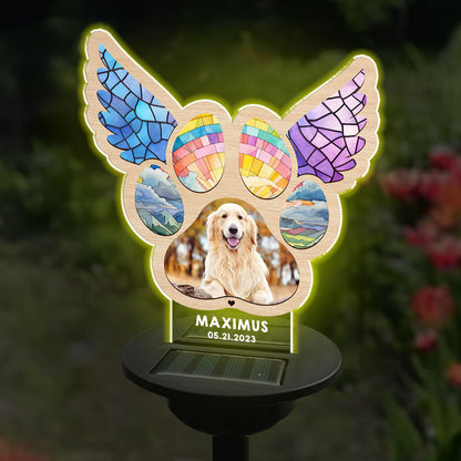 Paw Prints On My Heart - You Were My Favorite Hello - Personalized Photo Solar Light